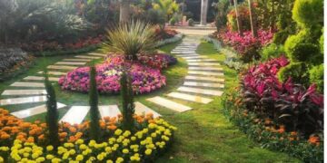 Spring Flowers Exhibition to be held in mid-February