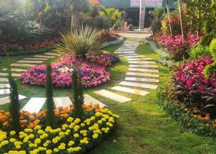 Spring Flowers Exhibition to be held in mid-February 11 - Egyptian Gazette