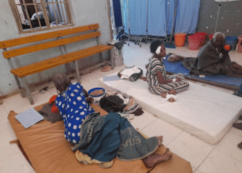 UN rights office decries Ethiopia air strikes, says 108 killed this month