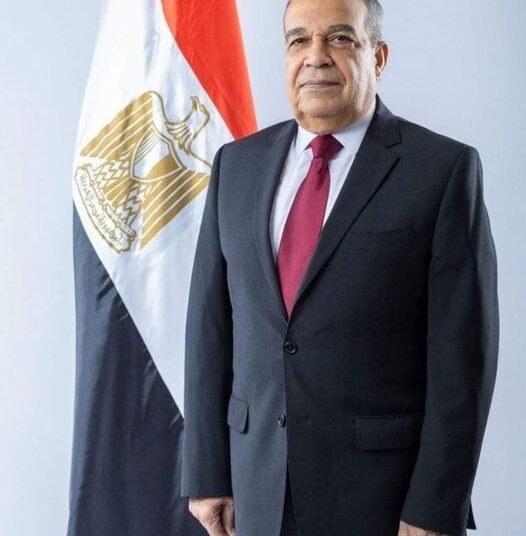 Military production minister praises WYF, terms it as "message of peace to the world" 1 - Egyptian Gazette