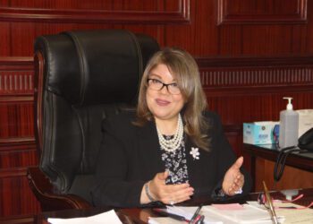 ‘Egypt became global strategic partner’