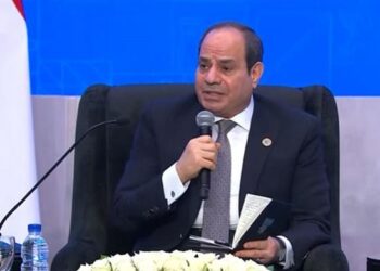Sisi: We are ready to transfer expertise to African states