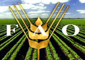 FAO Food Price Index reaches 10-year high in 2021