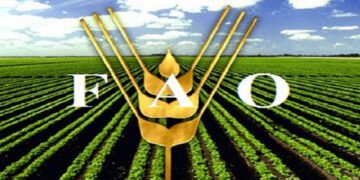 FAO Food Price Index reaches 10-year high in 2021