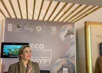 Environment min.: COP27 can build on recommendations of WYF’s climate change session