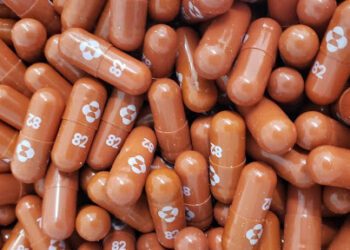 Health ministry: Coronavirus oral administration drug expected in Egypt this month