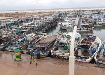 Navigation in Kafr el Sheikh halted for 2nd day in a row