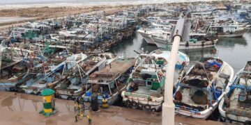 Navigation in Kafr el Sheikh halted for 2nd day in a row
