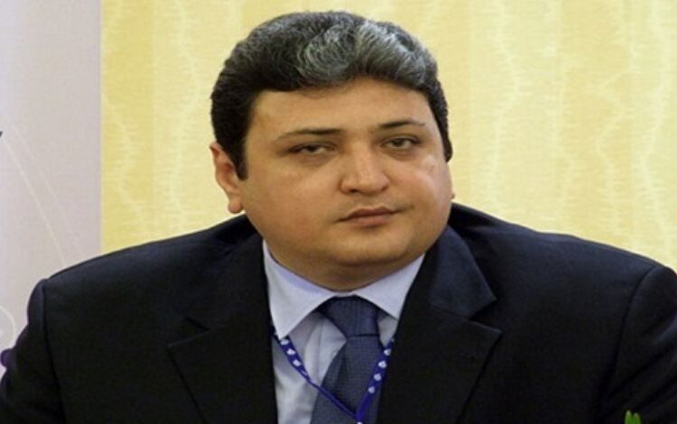 President of the Arab Organization for Human Rights (AOHR) Alaa Shalaby.