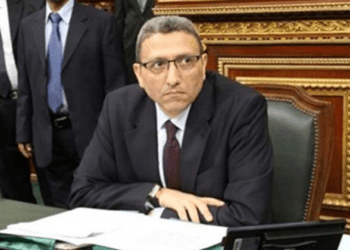 WYF has made multiple gains for Egypt, says parl’t deputy speaker