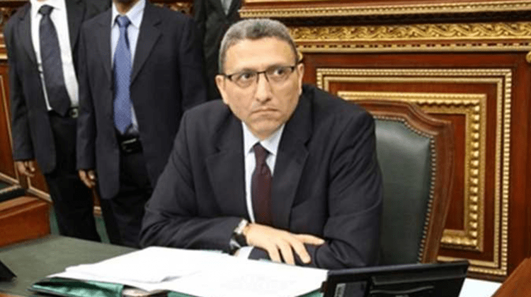 WYF has made multiple gains for Egypt, says parl't deputy speaker 1 - Egyptian Gazette