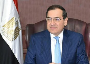Egypt plans to develop 12 oil terminals in co-operation with Belgian Port of Antwerp: Molla