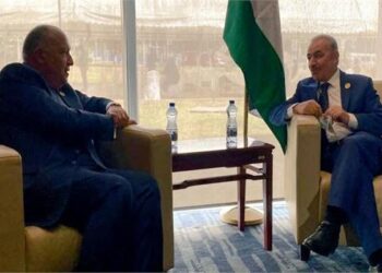 FM stresses Egypt’s supportive stand for Palestinian cause