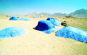 Sinai’s nature lovers’ refuge 9 - Egyptian Gazette