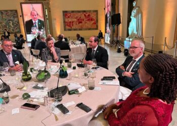President Sisi chairs roundtable on climate change in Brussels