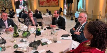 President Sisi chairs roundtable on climate change in Brussels