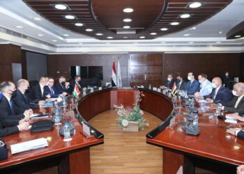 Egypt, Hungary discuss co-operation in railway industry