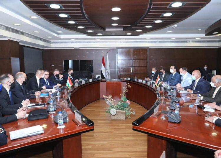 Egypt, Hungary discuss co-operation in railway industry 2 - Egyptian Gazette Egypt, Hungary discuss co-operation in railway industry 1 - Egyptian Gazette