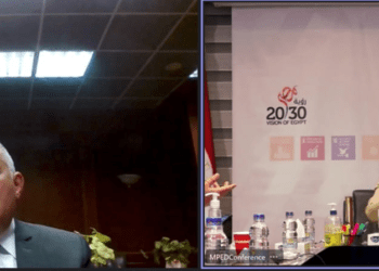 Egypt’s Planning, irrigation ministers discuss investment projects of current fiscal year