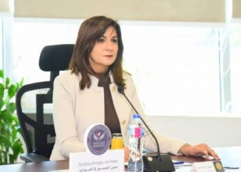 Emigration Min.: Continued communication with Egyptian community in Ukraine