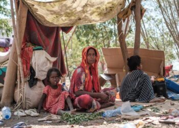 Thousands of Eritrean refugees displaced in clashes in Ethiopia’s Afar region