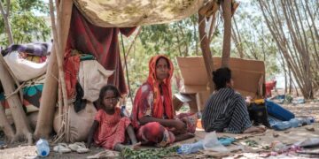Thousands of Eritrean refugees displaced in clashes in Ethiopia’s Afar region