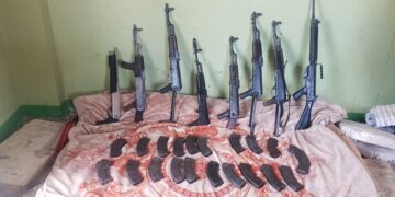 7 criminals killed in shootout with police forces north of Cairo