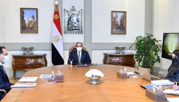 Sisi: Development co-operation with int’l partners to include environment, green transformation