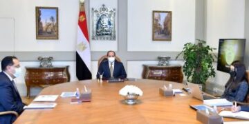 Sisi: Development co-operation with int’l partners to include environment, green transformation