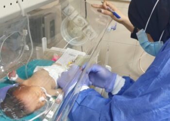 Egypt: 70,000 newborns screened for genetic diseases as part of presidential initiative