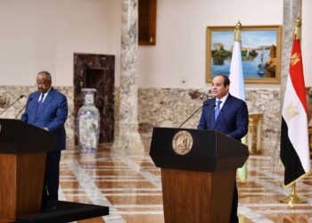 Sisi: Egypt, Djibouti have extended strategic relations on all fronts