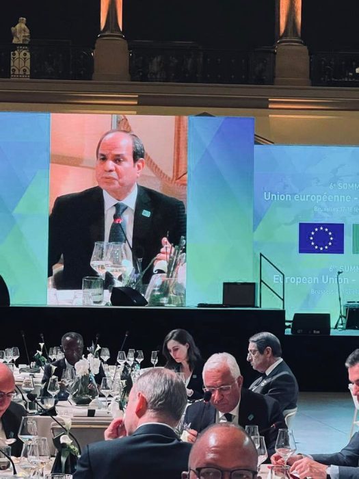 President Sisi chairs roundtable on climate change in Brussels 4 - Egyptian Gazette