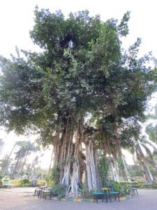 Horreya garden: Poets and national heroes in stone 23 - Egyptian Gazette