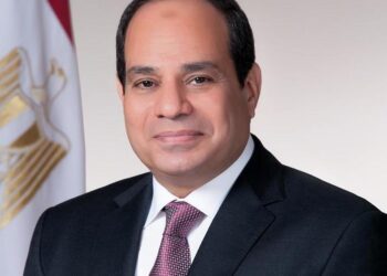 Sisi: Egypt overcame Covid-19 consequences over past 2 years