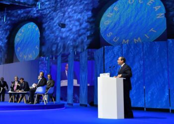 (UPDATE 2) President Sisi: Egypt calls for exerting more efforts to protect oceans