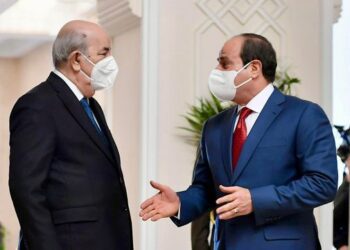Sisi, Tebboune discuss ties, regional issues over phone