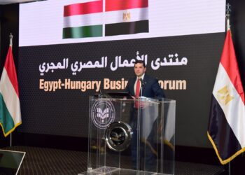 GAFI CEO inaugurates Egyptian-Hungarian business forum