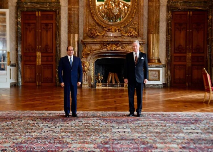 Sisi, King Philippe laud bilateral ties 1 - Egyptian Gazette
