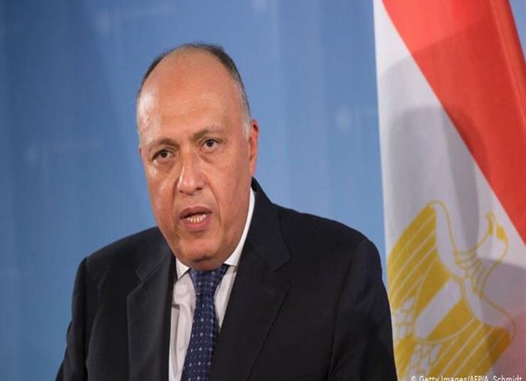 Foreign Minister Sameh Shoukry