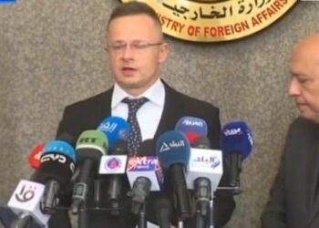 FM, Hungarian counterpart discuss bilateral ties