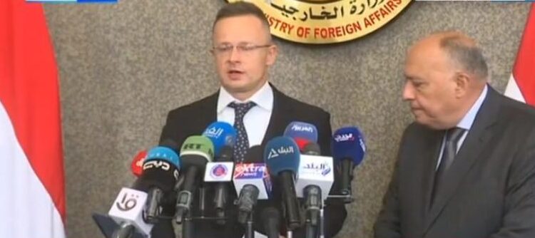 FM, Hungarian counterpart discuss bilateral ties 2 - Egyptian Gazette FM, Hungarian counterpart discuss bilateral ties 1 - Egyptian Gazette