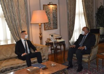 FM, his Hungarian counterpart stress depth of bilateral ties