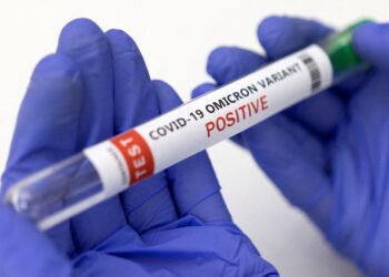 Omicron-specific booster may not be needed, US monkey study finds