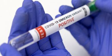 Omicron-specific booster may not be needed, US monkey study finds