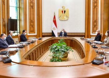 Egyptian President calls for deepening e-car manufacturing base
