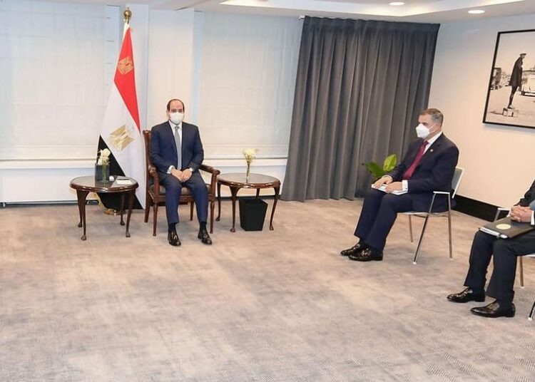 Sisi, Belgian companies officials discuss co-operation in green hydrogen production 1 - Egyptian Gazette