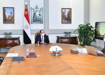 Sisi reviews progress of strategic power projects nationwide