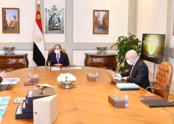 Sisi reviews progress of relocation to New Capital