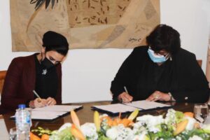 Culture ministry, Decent Life Foundation sign 'innovation' protocol 3 - Egyptian Gazette