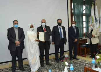 Co-operation with African countries main axis in Egyptian foreign policy